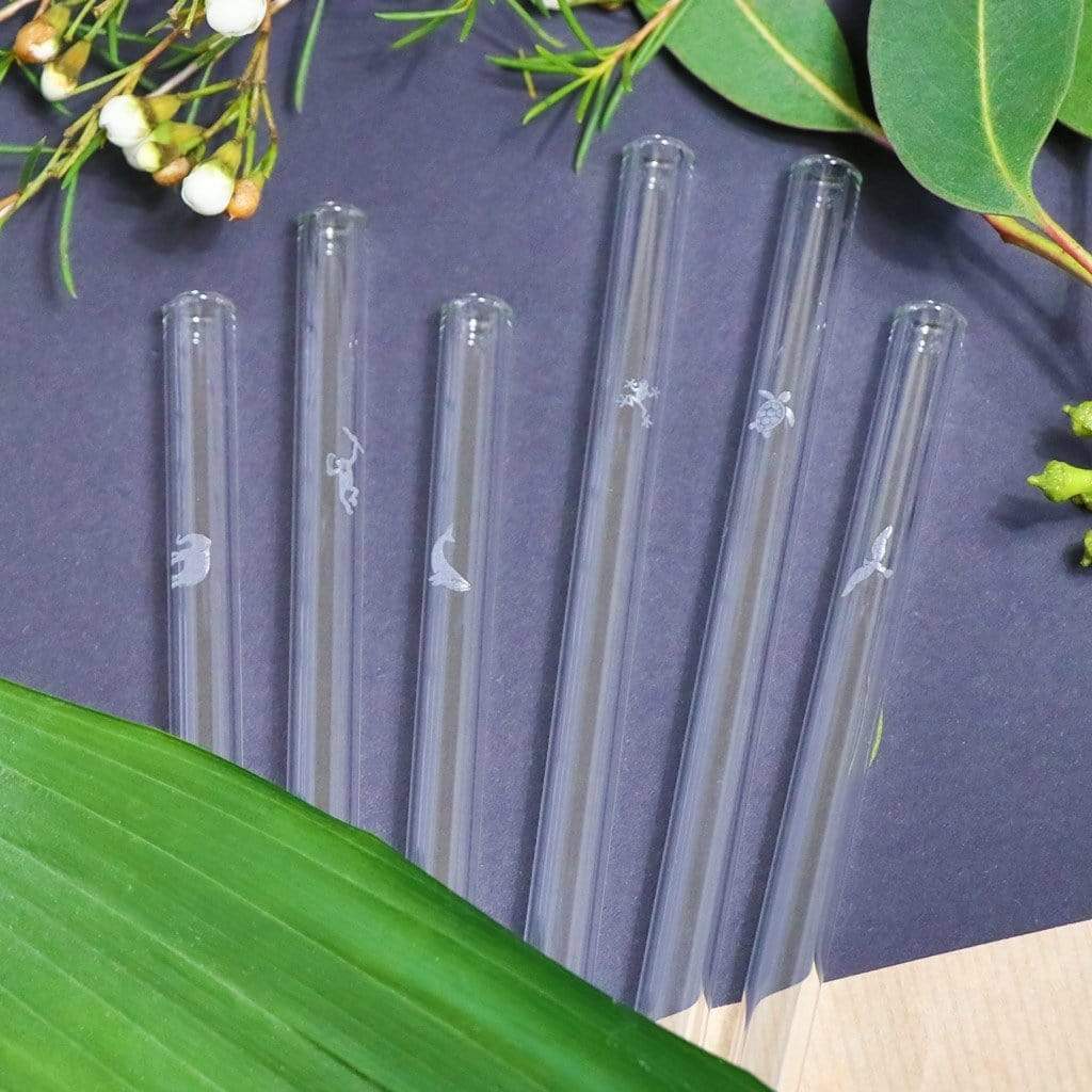 Summer Edition Glass Straws 8 inch Engraved with Beach Designs | Halm